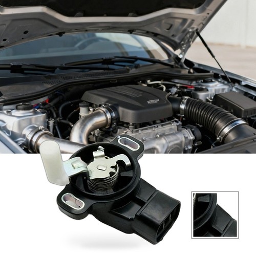 Throttle position sensor - throttle,